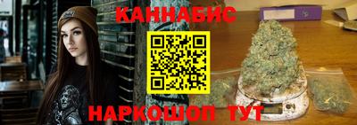стаф Моздок