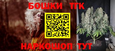 стаф Моздок